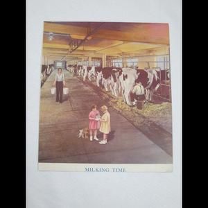 Vintage Art Print Milking Time Farmer Dairy Cows Girls Feed Kittens Pink Yellow